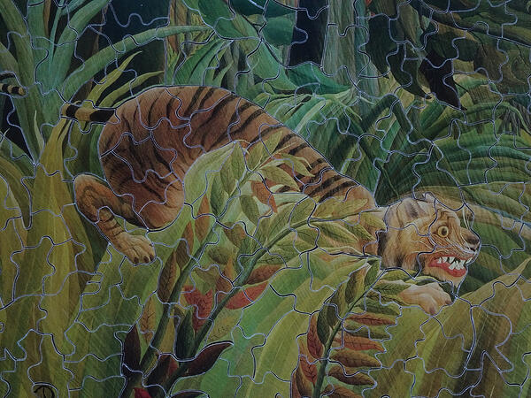 Detail Tiger