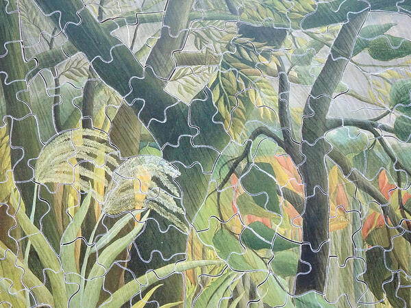 Detail Foliage