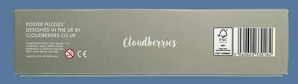 CBFBoxS