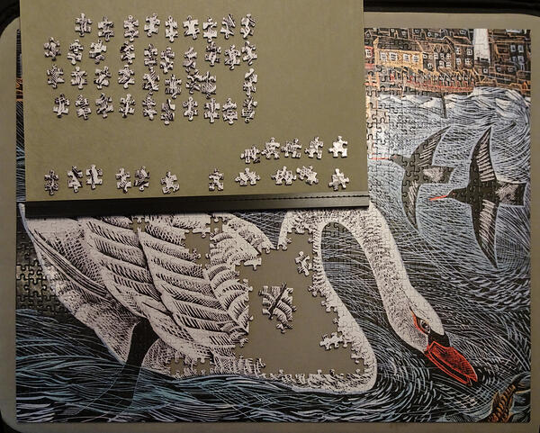 Progress 4 Southwold Swan