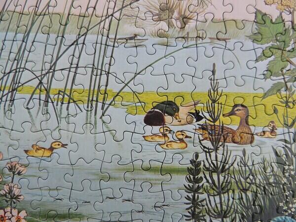 Detail 4