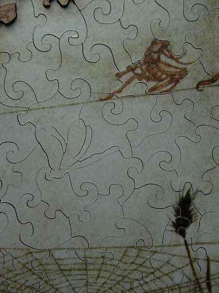 Detail Dragonfly, 571pc Fairy Dancing on a Spider's Web