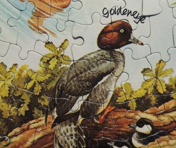 Detail 9