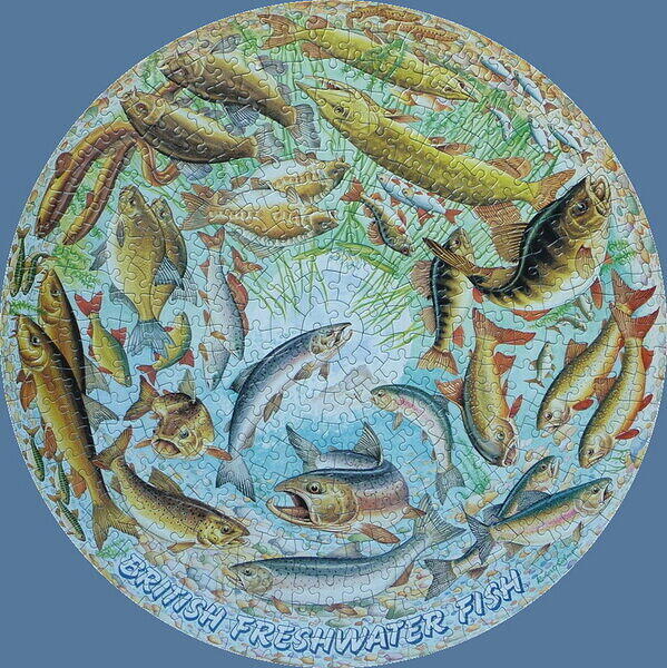 BRITISH FRESHWATER FISHES.jpg