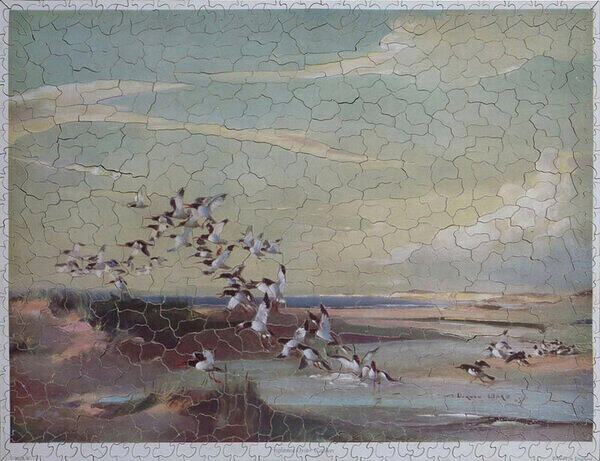oyster catchers.jpg