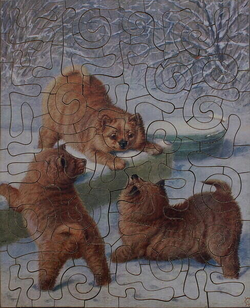 PUPPIES AT PLAY 001.jpg