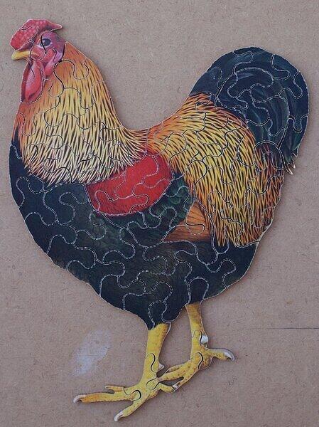 Cockerel (Early).JPG