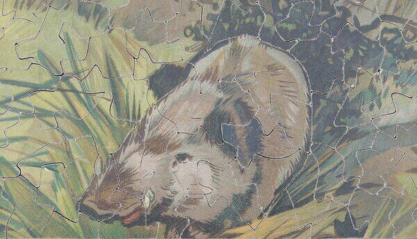 Robin Hood (Detail 5).JPG