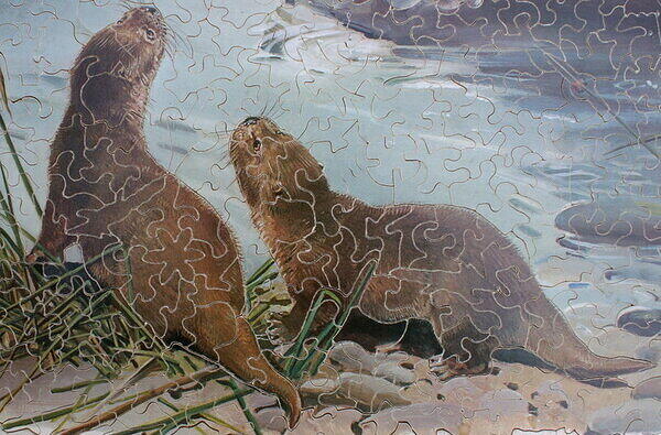 Otters (Detail 2).JPG