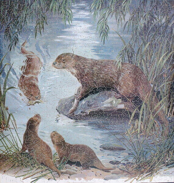 Otters.JPG