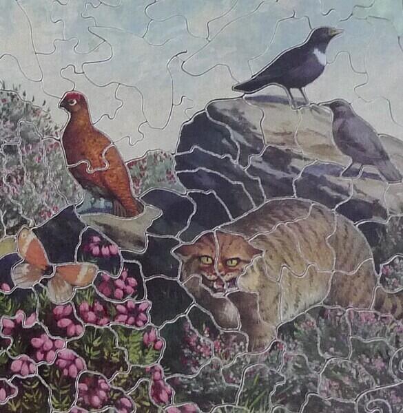 Detail 1
