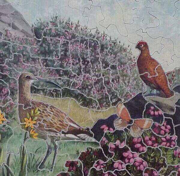 Detail 3