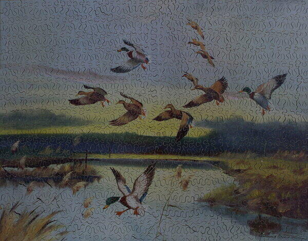 EVENING FLIGHT OF MALLARDS.jpg