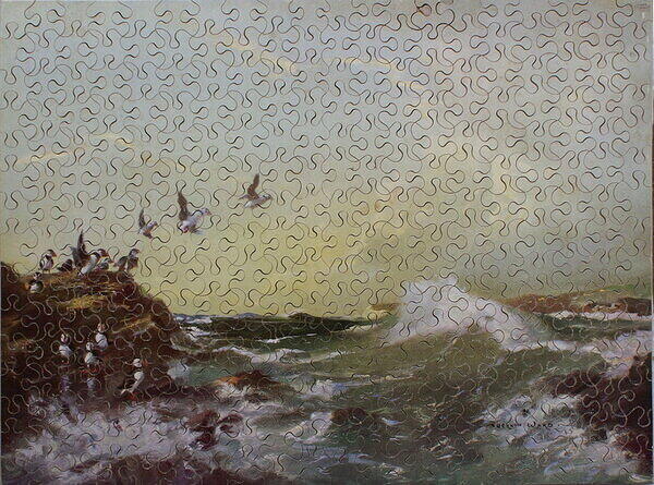 PUFFINS 001.jpg