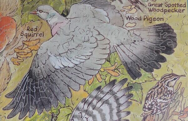 Detail 1