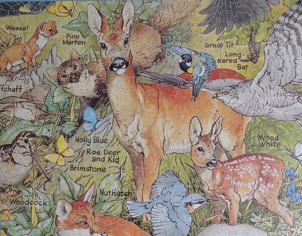 Detail 3
