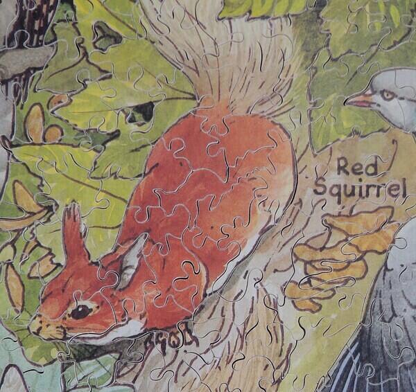 Detail 9