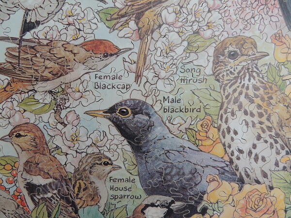 Detail 4