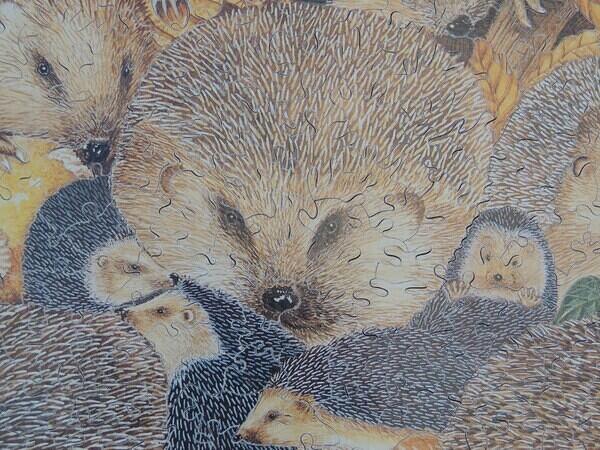 Detail 1 (Custom)