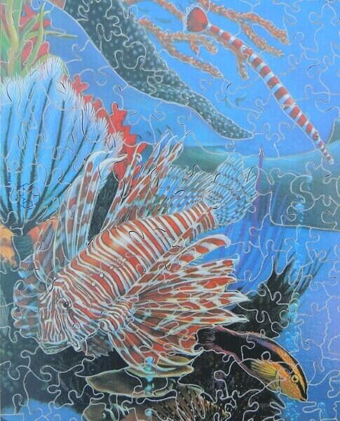 Detail 5 (Custom)