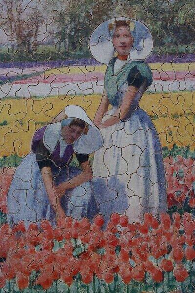 Poppy Land (Detail 2).JPG