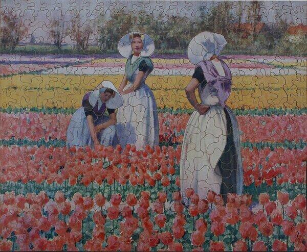 Poppy Land.JPG