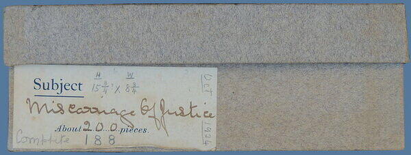 Miscarriage of Justice (Label).JPG