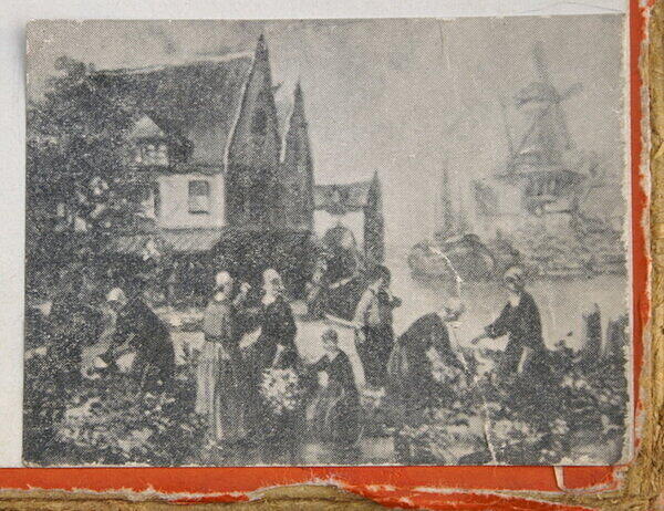 THE FLOWER MARKET, HOLLAND LABEL.jpg