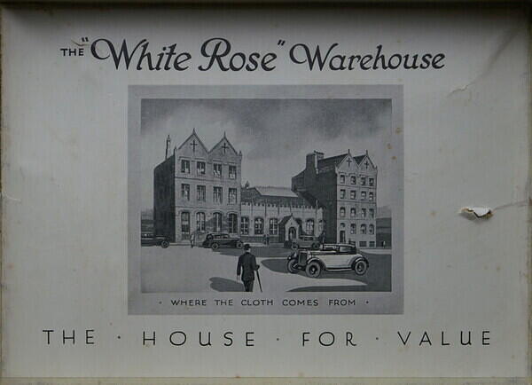 WHITE ROSE 003.jpg