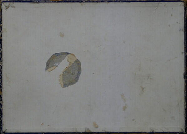 WHITE ROSE 004.JPG