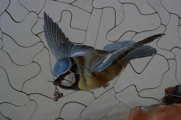 Bird Studies (Detail 2).JPG