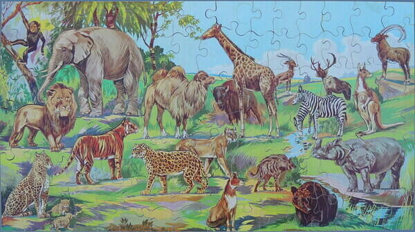 Jungle