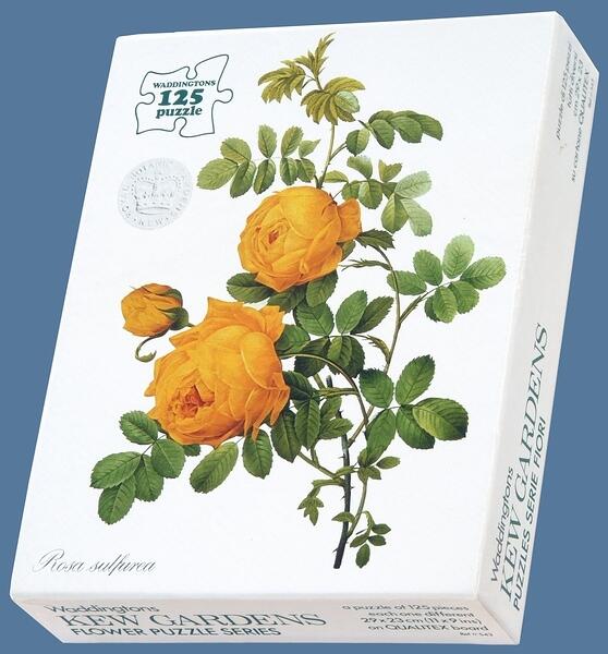 543RSBoxBl