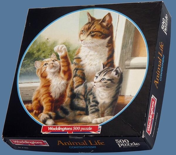 13803CatsBoxB