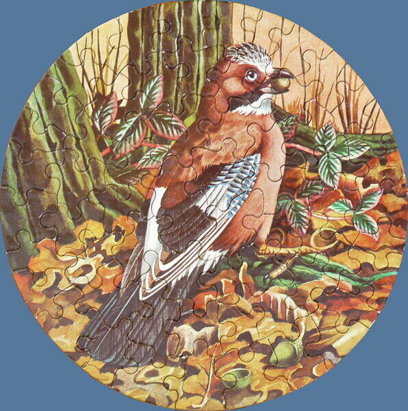 Jay.jpg