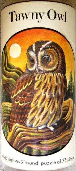 Tawny Owl (BOX).jpg