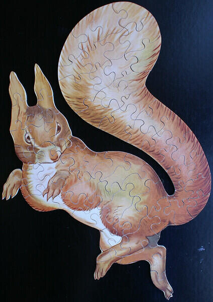 SQUIRREL NUTKIN 001