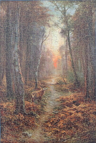 Sunlit Glade