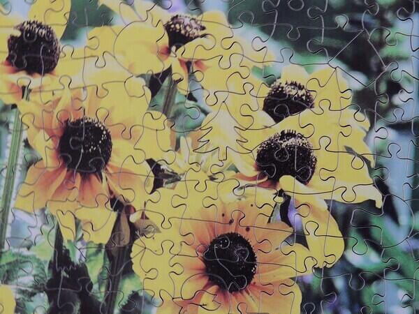 Detail 2