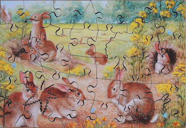 Puzzle