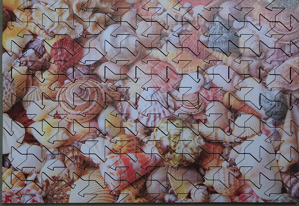 Minimindful 80pc Seashells