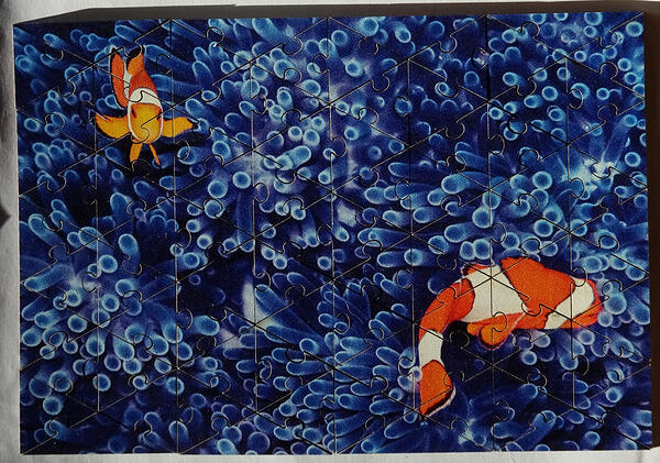 Minimindful 80pc Clown Fish, Equilateral Triangle Tessellation