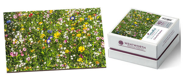 Wentworth Minimindful Range 40pc Colourful Meadow Maze Cut 2