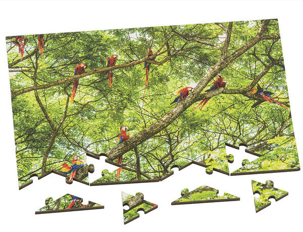 Wentworth Minimindful Range 80pc Scarlet Macaws Triangular Cut 46