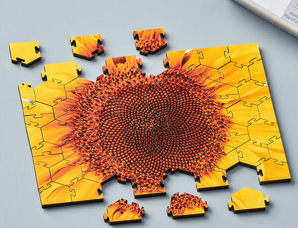 Wentworth Minimindful Summer23 80pc Sunflower Face Hexagonal Cut 28