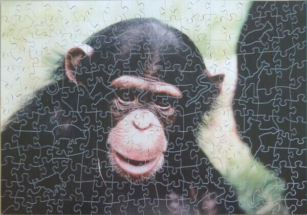 Puzzle
