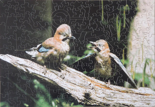 Puzzle