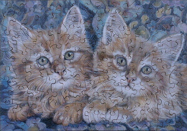 GINGER KITTENS 001.jpg