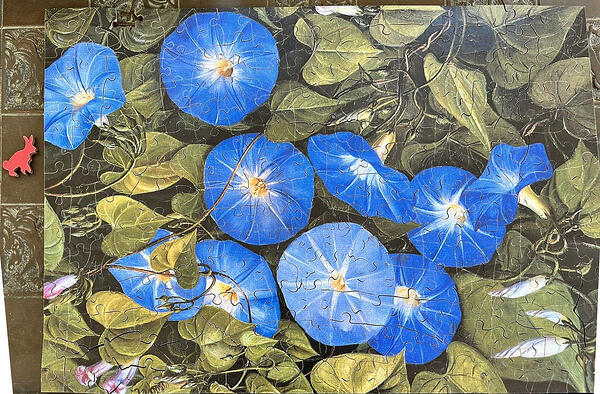 Wentworth 250pc Morning Glory Marianne North Collection Kew, Shiny Flag Box