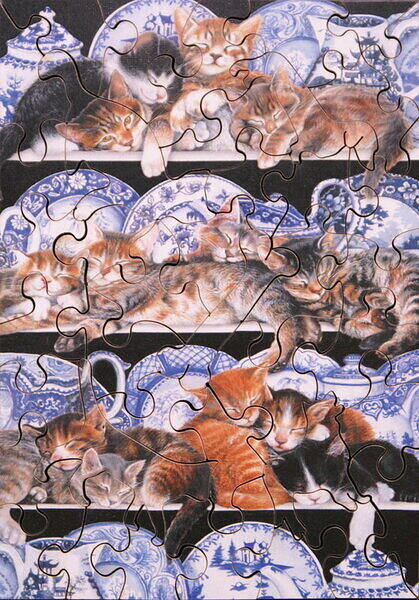 SNOOZING KITTENS.jpg